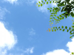 a06b0f11f1612210446dbc24aacafc61_s