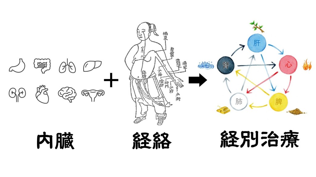 漢方と鍼の効果の経別