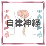 朝霞新座の自律神経なら